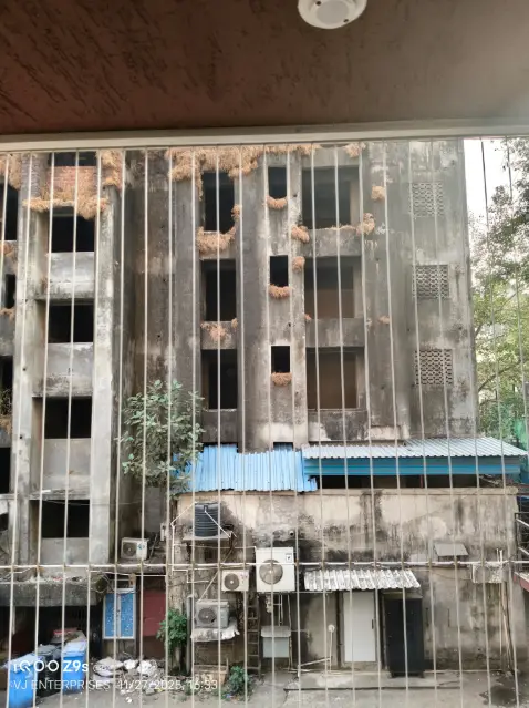Pigeon net across a society building duct