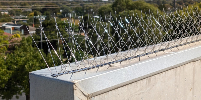Stainless steel bird spikes fixed on a window ledge
